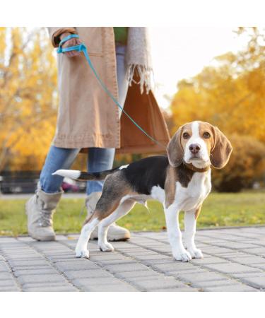 Buy Loutep Reflecting Training Lines for Dogs - Extra Long Leash Strong Nylon Rope Padded Handle - 3m to 30m - Ideal for Large Medium & Small Dogs - Reflective Light Blue - Buy Online on SooperMarket.com