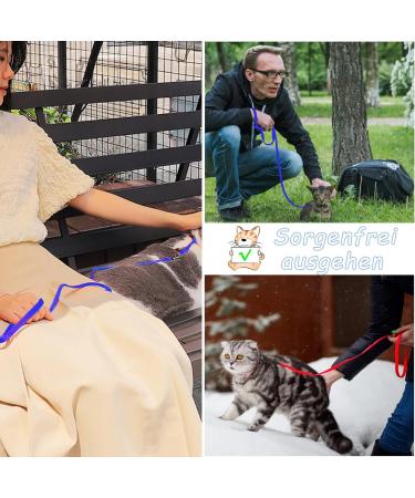 Soft Cat Crockery Dishes & Adjustable Leash Set for Kittens Puppies and Rabbits - Red & Blue - International Shipping Available - Buy Online on SooperMarket.com