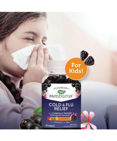 Nature's Way Sambucus Cold and Flu Relief Elderberry Gummies for Kids Used in Herbal Medicine to Help Relieve Symptoms (Cough Runny Nose and Sore Throat) in Children age 3+ 60 Gummies - Buy Online on SooperMarket.com