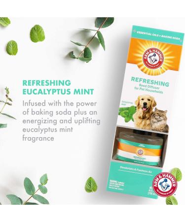 Arm & Hammer Pet Odor Eliminator Room Spray | 10 oz Eucalyptus Mint Fragrance | Baking Soda Pet Deodorizer | Eucalyptus Mint Reed Diffuser - Buy Online on SooperMarket.com