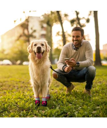 NeuWook Dog Boots 4 Pcs Waterproof Anti-Slip Breathable Dog Shoes with Two Adjustable Fastener Straps Easy to Wear Dog Sneakers Comfortable Soft Soled for Small Medium Large Dogs (Red XXL) XXL Red - Buy Online on SooperMarket.com