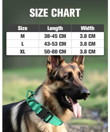 Joytale Tactical Dog Collar | Durable Dog Collar with Handle for Large Dogs | XL Turquoise with QR Code Dog Tag - International Shipping Available - Buy Online on SooperMarket.com