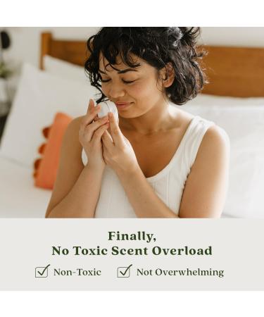 Enviroscent Non-Toxic Air Freshener Refills - Rainwater & Bamboo | Essential Oil Plug-In Refills | Long Lasting Home Fragrance - 90+ Days | 2 Liquid Pod Refills - Buy Online on SooperMarket.com
