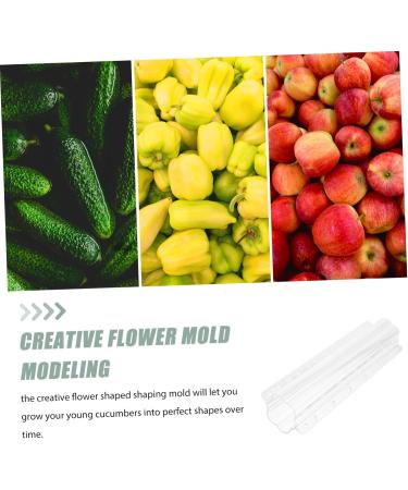 SUPVOX 4 Pcs Fruit and Vegetable Shaping Mold Plant Quincunx - Buy Online on SooperMarket.com