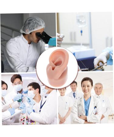 Beavorty 3 Pcs Human Ear Model Set | Silicone Ear Models for Studs | Simulation Piercing Ear Display Prop 6.5x3.5cm (Coffee, 3pcs) - Buy Online on SooperMarket.com