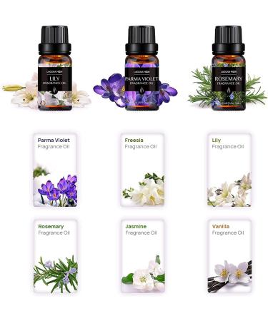 Floral Fragrance Oil Collection - Premium Grade 6-Pack Gift Set for Diffuser, Candle Making, Soap, Slime & Aromatherapy - Jasmine, Vanilla, Freesia, Lily, Rosemary - 10ml Bottles | Floral Organic Scents - Buy Online on SooperMarket.com