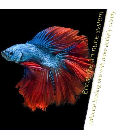 BettaLeaf Comfort Zone for Fish Indian Almond Leaves Slice in Pieces Leaf Ready to use 45 Grams Pack (80 100 Pieces) | Best Gold Brown Quality | Fish Tank for Betta Fish Shrimp Crayfish for Healthy - Buy Online on SooperMarket.com