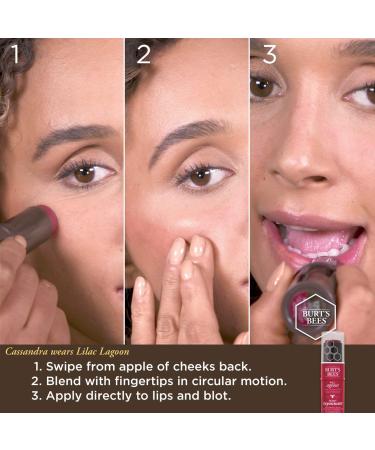 Burt's Bees All Aglow Dahlia Dew Lip & Cheek Tint 0.32 OZ - Buy Online on SooperMarket.com