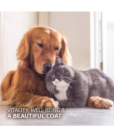 AniForte Premium Salmon Oil 200 Tablets for Dogs & Cats - Natural Norwegian Fish Oil Supplement with Omega 3, 6, EPA, DHA & ALA for Coat, Skin, Joints & Brain Health - Buy Online on SooperMarket.com