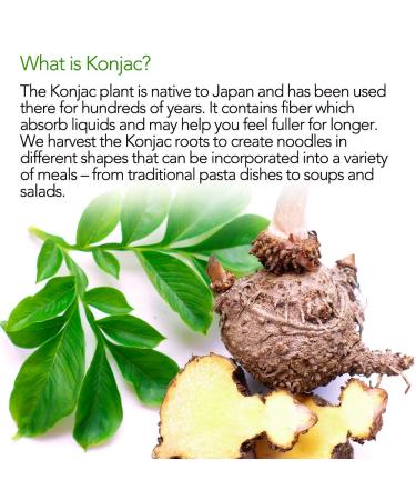Diet Cooker Premium Konjac Noodle - Keto & Vegan Friendly, Low Calorie Pasta, Zero Net Carbs - Angel Hair (6 Packs) - Buy Online on SooperMarket.com