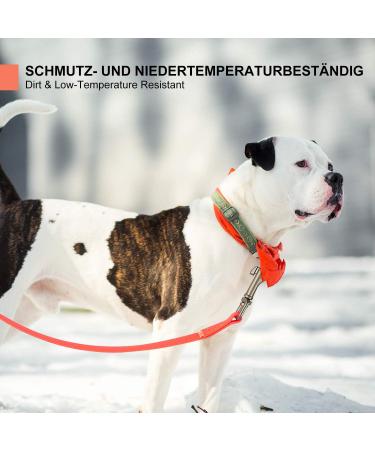 Toozey Waterproof Drag Line for Dogs | 3m to 20m Lengths | Robust Neon Orange Training Leash with Hand Loop & Bag - Buy Online on SooperMarket.com