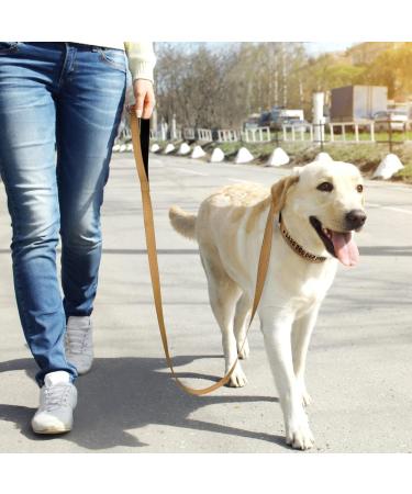 Tagme Personalized Reflective Dog Collar for Medium Dogs - Embroidered with PET Name & Phone Number - Khaki M M (1 Pack) - Buy Online on SooperMarket.com