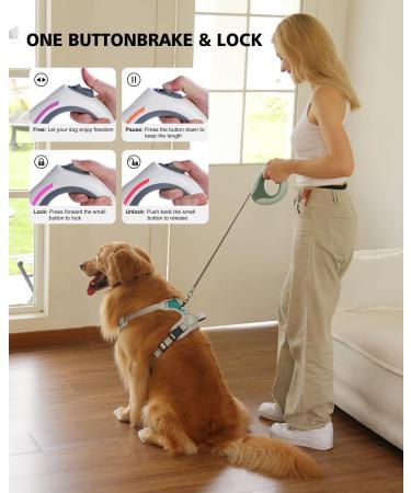Blanlody Roller Leash for Large Dogs (Up to 80kg) - 3m Leash with Rubberized Handle Water Bowl & Decorative Bags (Green) | Shop Now!  - Buy Online on SooperMarket.com