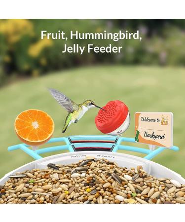 Netvue Multifunction Bird House Stand & Feeder | Versatile Bird Feeding Station for Wild Birds - Ideal for Potions Fruits & Vegetables - Buy Online on SooperMarket.com