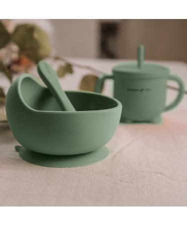 Cooshi Kids 9 Piece Baby Self Feeding Tableware Set - Divided Suction Plate, Suction Bowl, Sippy Cup, Bib, Placemat, Weaning Fork + Spoon + Kids Spoon + Fork Set - Green - Buy Online on SooperMarket.com