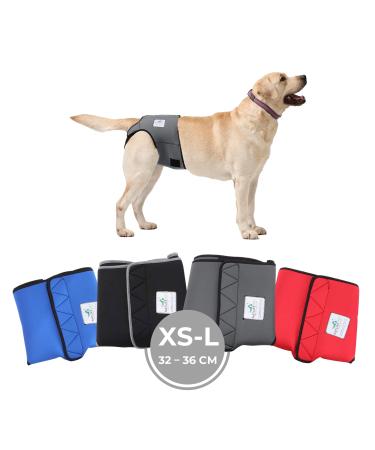Sailing trousers for bitches 2.0 - dog diapers made of high -quality perforated neoprene for an optimal air exchange - dog diapers for male without the annoying threading of the rod (XS -L gray)