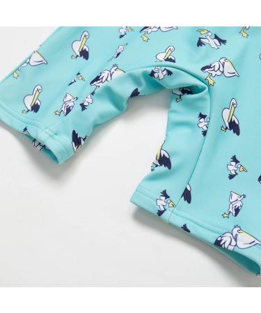 Bonverano Baby Boys Swimsuit UPF 50+ Long-Sleeve Pelican 6-9 Months - Buy Online on SooperMarket.com