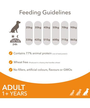 IAMS Complete Dry Dog Food for Adult 1+ Large Breeds with Chicken 12 kg 12 kg (Pack of 1) - Buy Online on SooperMarket.com
