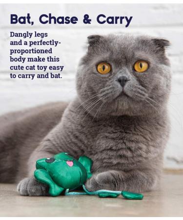 Petstages Toss N Dangle Frog - Interactive Cat Toy with Catnip | Fun Frog Design for Happy Cats - Shop Internationally! - Buy Online on SooperMarket.com