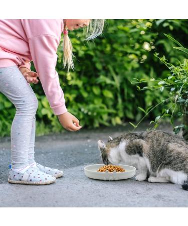 Cat Bowl Silicone Cat Feeding Bowl Cat Water Bowl Eco Friendly Cat Food Bowl Cat Milk Dish Pet Feeding Bowl Flat Bowls for Kittens and Small Animals Wide Cat Food Water Dish (Grey) - Buy Online on SooperMarket.com