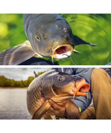 SEAOWL Carp Fishing Hair Rigs | High Carbon Steel Barbed Hooks | Rolling Swivel Boilies | 24 Pcs with 2 Card Boilie Bait Stops | 2 Needles | 4 Sizes 4 - Buy Online on SooperMarket.com