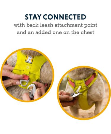 Ruffwear Hi & Light Dog Harness | Lightweight No Pull Harness for All Sizes | Fully Adjustable with Lead Attachment & ID Bag - Lichen Green Medium - Buy Online on SooperMarket.com