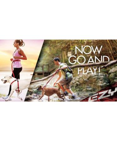 Ezydog Jogging Leash for Small & Medium Dogs - Reflective Elastic Bungee 210cm - Ideal for Jogging Outdoors - Buy Online on SooperMarket.com