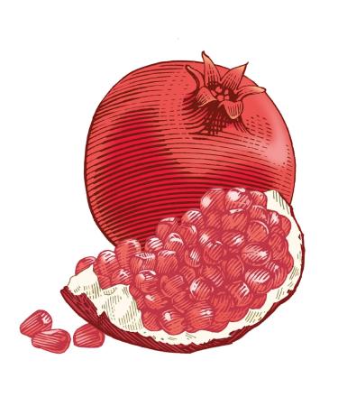 Buy Burt's Bees Pomegranate Lip Balm 4.25g | Hydrating Natural Lip Care | International Shipping Available - Buy Online on SooperMarket.com