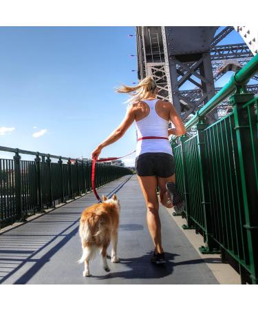 Ezydog Jogging Leash for Small & Medium Dogs - Reflective & Elastic Bungee - 210cm Red | Perfect Running Gear for Dog Owners - Buy Online on SooperMarket.com
