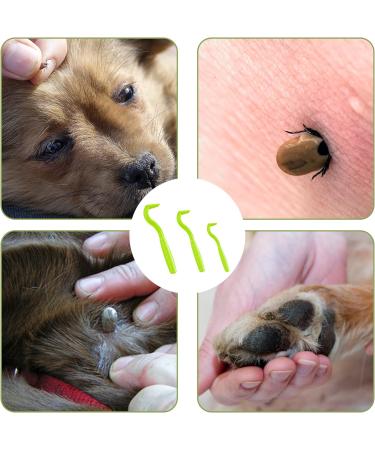 Nepfaivy Tick Remover Tool for Dogs - 3 Pcs Painlessly Tick Remover for Humans and Cats Pets Green - Buy Online on SooperMarket.com