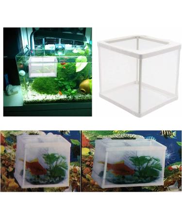 Alfyng 2 Pcs Fish Tank Breeder Net - Hatchery Breeder Box with Suction Cup - Buy Online on SooperMarket.com