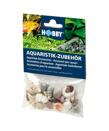 Hobby Sea Shells Set S 20 St ck