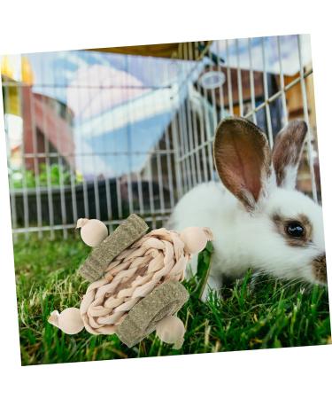 Kisangel Wooden Hamster Chewing Playthings Bunny Treats Oral Biting Playthings - Buy Online on SooperMarket.com