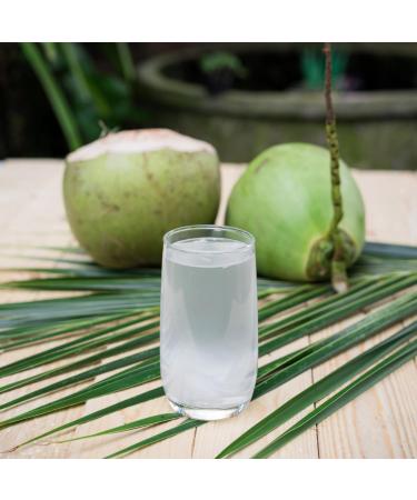 Buy BAMBOO TREE Coconut Water - 1L (Pack of 2) - Refreshing Healthy & Organic - International Shipping Available - Buy Online on SooperMarket.com