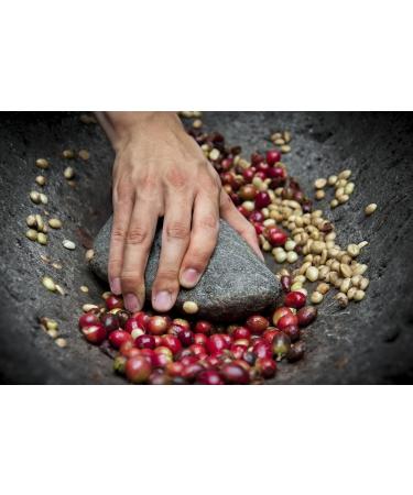 1Kg Bag Green Coffee Beans Rich in Taste Perfect Aroma| A Gift For Loved Ones For Home Roasting| Sidamo Coffee Beans From Ethiopia| - Buy Online on SooperMarket.com