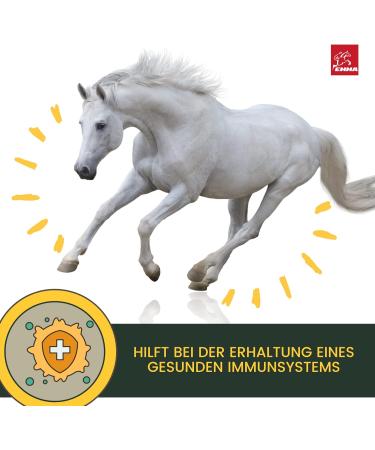 Buy Emma Linseed Oil for Horses & Pets - Cold-Pressed Omega 3 & 6 Fatty Acids for Shiny Fur & Digestion | 2x1L - Ideal for Dogs & Cats - Buy Online on SooperMarket.com