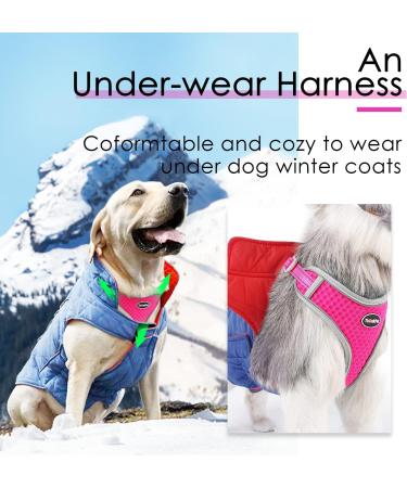 ThinkPet No-Pull Dog Harness & Leash Set | Breathable Adjustable Safety Harness for Small Medium & Large Dogs | Reflective & Padded Control Harness (Pink/Red) - Buy Online on SooperMarket.com