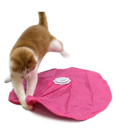 Blackhole Catch The Tail Cat Toy Interactive Play-Catch Electric Rotating Feather Motion Automatic Best Undercover Mouse Under Blanket Cat Toy