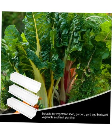 SUPVOX 3pcs Cucumber Cucumbers Fruit Vegetable Forming Shaping Picking Garden Square - Buy Online on SooperMarket.com
