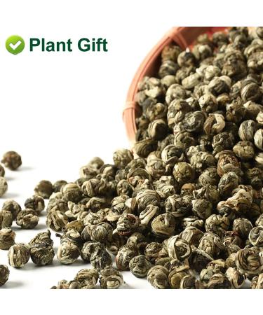 Plantgift Jasmine Dragon Pearls Tea 130g - Premium Green Tea & Oolong Blend - Best Jasmine Tea for a Soothing Experience | International Shipping - Buy Online on SooperMarket.com
