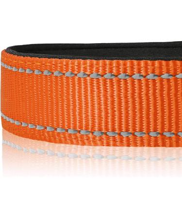 Heele Soft Padded Neoprene Dog Collar for Small & Medium Dogs | Adjustable Reflective Training Collar - Orange Longitudinal 34-52 cm (1 Pack) - Buy Online on SooperMarket.com