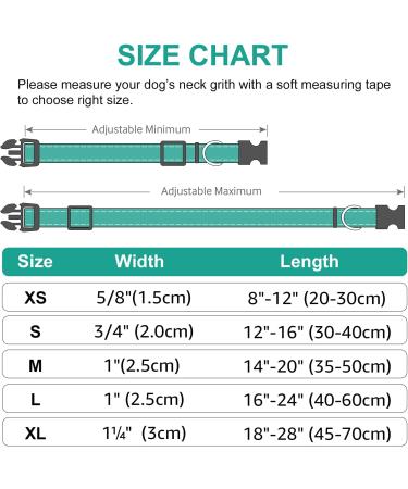 Joytale Reflective Dog Collar - Adjustable & Padded Nylon Collar for Dogs - 12 Colors - Small to Extra Large Sizes - Teal - Buy Online on SooperMarket.com