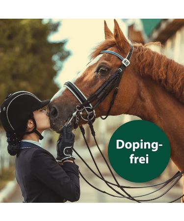 Equisept Fly Spray for Horses - 3L Insect Spray Canister | Mosquito & Horse Skin Care - Veterinarian Recommended Doping-Free - Buy Online on SooperMarket.com