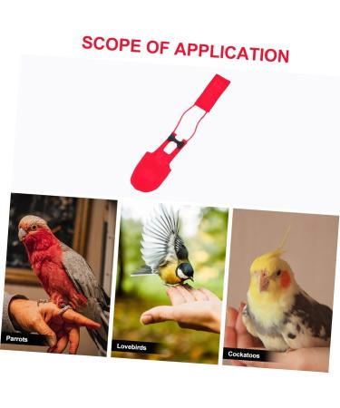 Iplusmile Parrot Suit - Bird Windula Accessories for Home Birds | Pet Needs & Clothing for Bird Lovers | Red Set - Buy Online on SooperMarket.com
