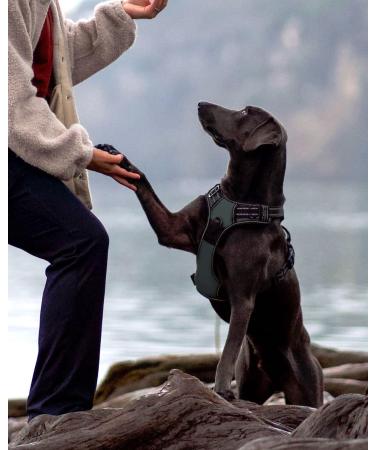 Joytale Large Dog Harness - Reflective Soft Padded Adjustable Breast Harness for Safe Control - Breathable & Comfortable - Gray (1 Pack) - Buy Online on SooperMarket.com