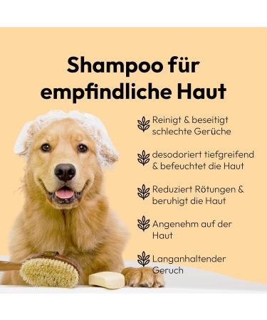 Belly Golden Oat Dog Shampoo 250ml | Sensitive Formula for Itching & Odor | Optimal Care for All Dog Breeds with Oat Protein & Shea Butter - Buy Online on SooperMarket.com