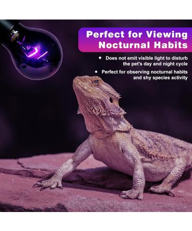 LUCKY HERP Reptile Night Heat Bulb 50W Night Heat Lamp Bulbs for Reptiles 2 Pack Reptiles & Amphibians Basking Spot Light Bulb for Bearded Dragon Lizard Snake Turtle Chameleon - Buy Online on SooperMarket.com