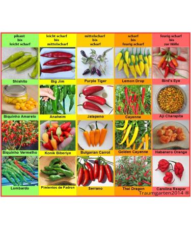 Chili Set 20 varieties individually packed from spicy to extremely hot Chili seeds Set seeds from all over the world Peppers
