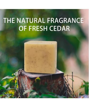 Handmade Men s Exfoliating Soap Bar | Citrus Cedar Shampoo & Body Scrub | Nourish & Cleanse Skin & Hair - Buy Online on SooperMarket.com