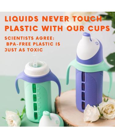 Set of 2 Glass Sippy Cups for Toddlers - The Luca | Mint Green & Indigo Purple | 8oz Spill-Proof Straw Cup | Silicone Straw | BPA-Free - Buy Online on SooperMarket.com